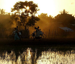 Sri Lankan Tamil civilians are displaced in the Vanni, 2009